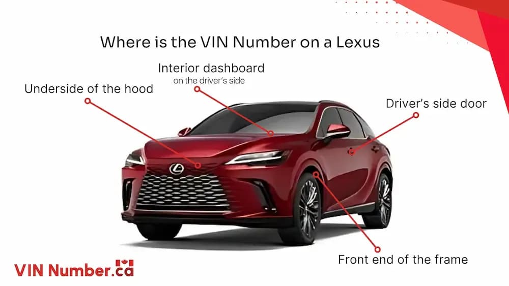 Where is the VIN Number on a Lexus?
