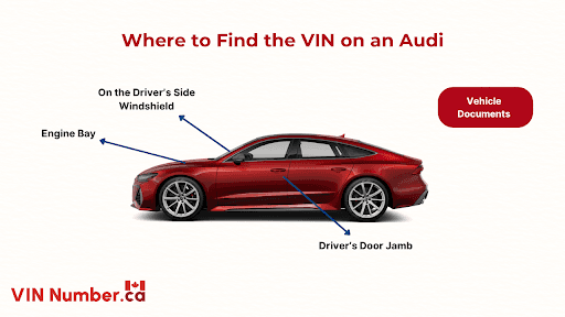 Common VIN Locations on Audi Vehicles