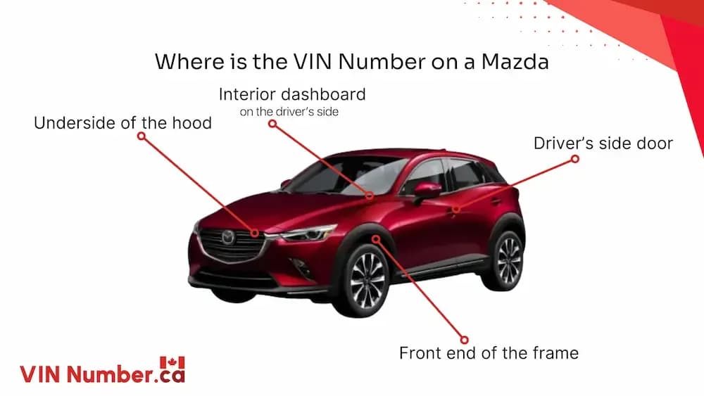 Where can I find the VIN?